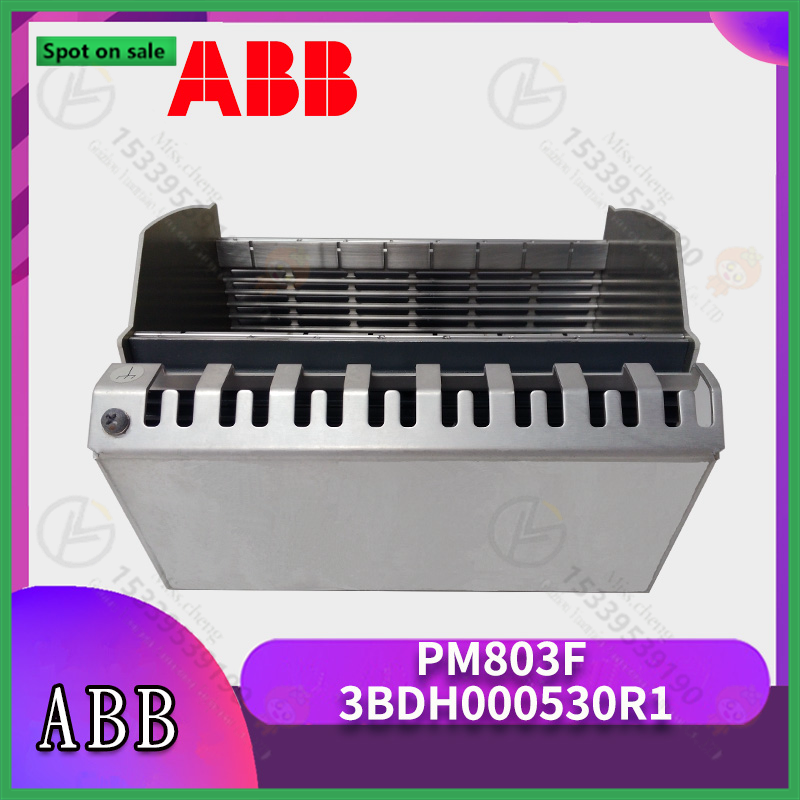 PM866AK01